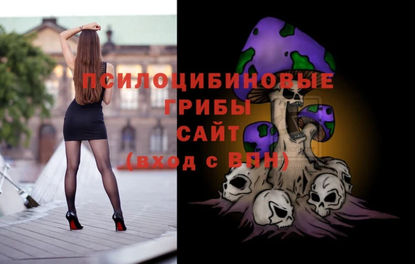 хмурый Богородск