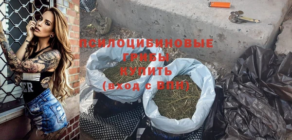 сатива Богородицк