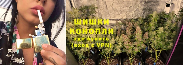 хмурый Богородск