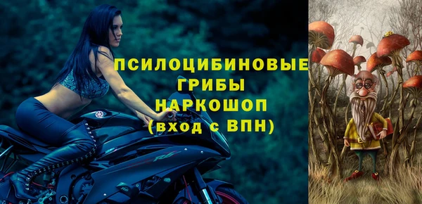 сатива Богородицк